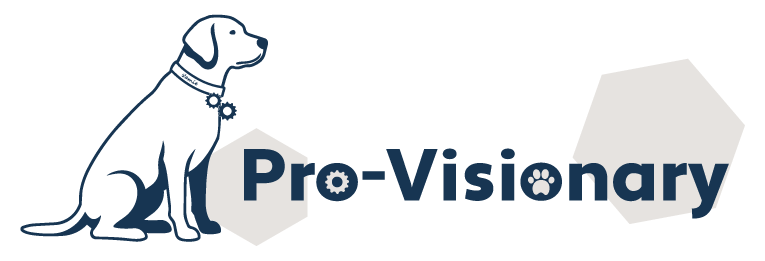 Pro-Visionary